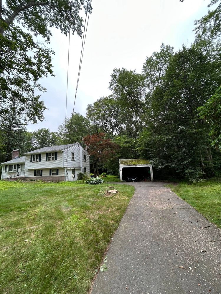 Emergency Tree Services for DC TREE in Vernon, CT