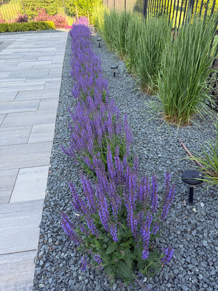 All Photos for Denali Outdoor Services in Washington, MI