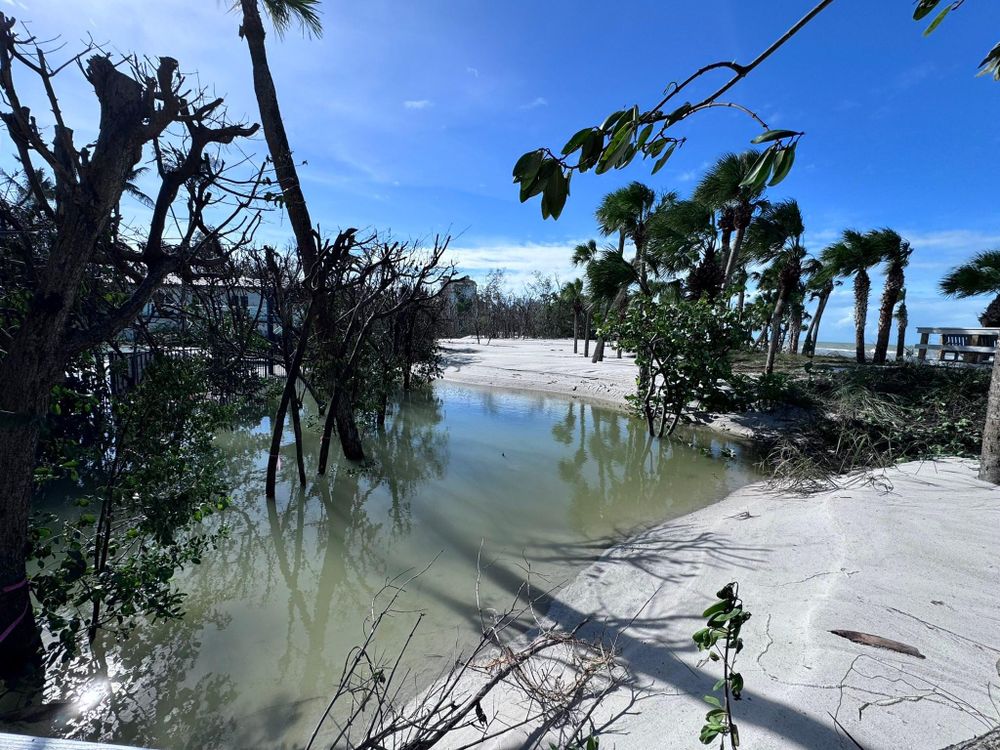 All Photos for McLeran in Naples, FL