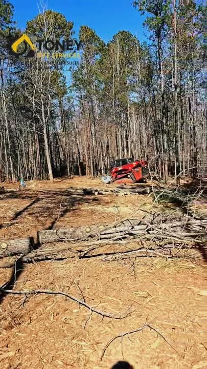 All Photos for Toney Site Services LLC in Rutherford County, NC
