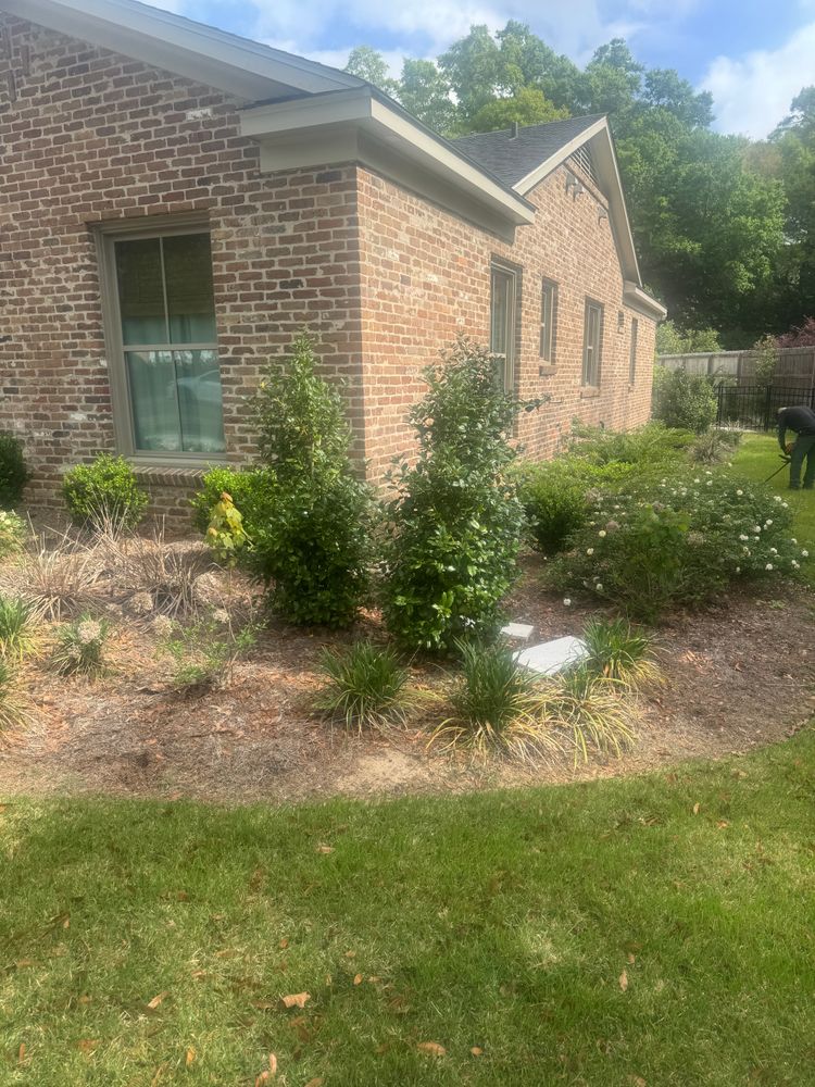 All Photos for Johnson Lawn Care and Maintenance in Mobile, AL