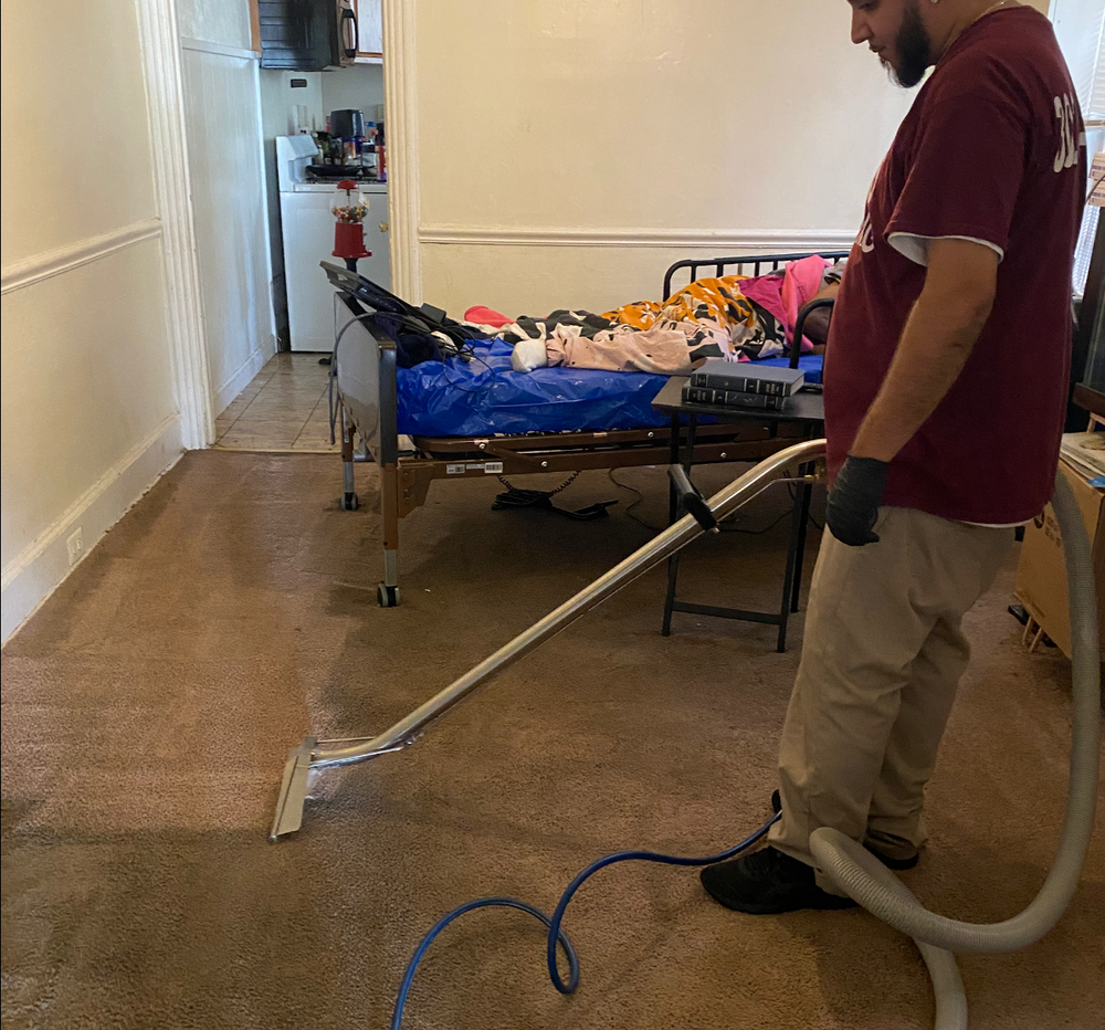 Carpet Cleaning for Banderas Cleaning Service in Elsmere, DE
