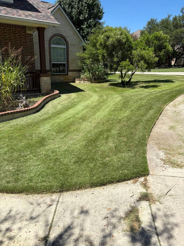 All Photos for Bad Axe Landscapes LLC in Schertz, TX