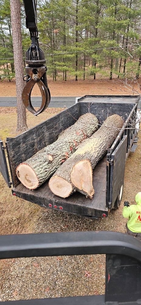 All Photos for Hamlett Tree Service LLC in Clover, VA