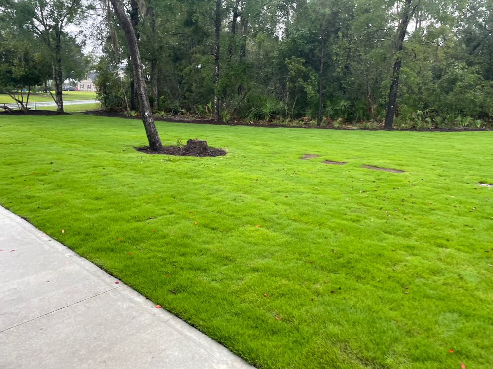 All Photos for Golden Isles Greenery in Brunswick, GA