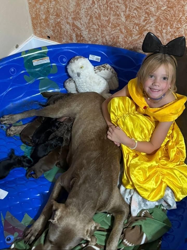 All Photos for Hard Knox Concrete  in Montpelier, ID