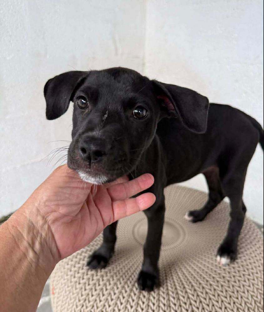 All Photos for Sullivan Sanctuary of Maine in Brunswick, ME