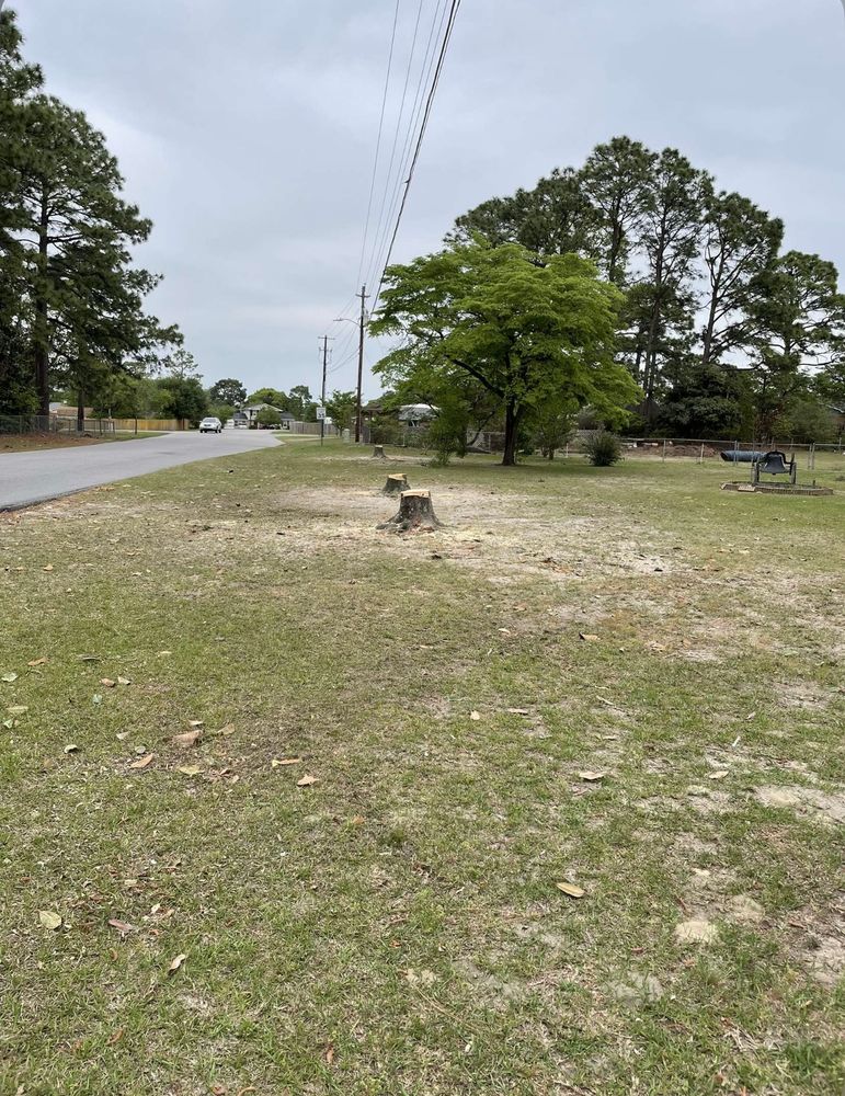 Tree Removal  for ABW Property Professionals in Hope Mills, NC