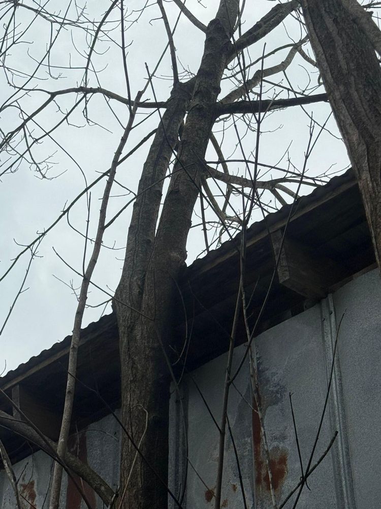 All Photos for Chiles Lawn & Landscaping in Gordonsville, VA