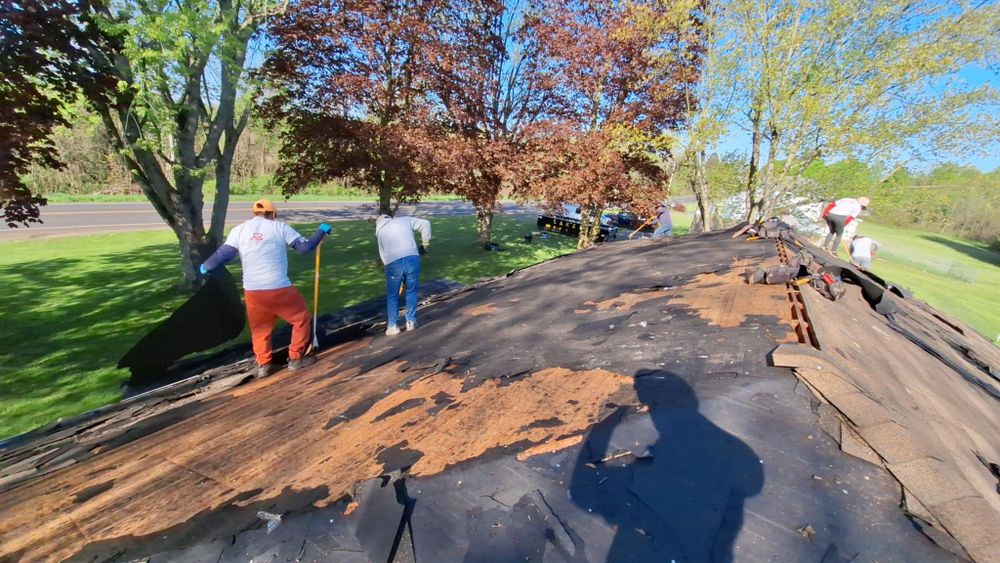 All Photos for RFK Contracting in Wolcott, NY