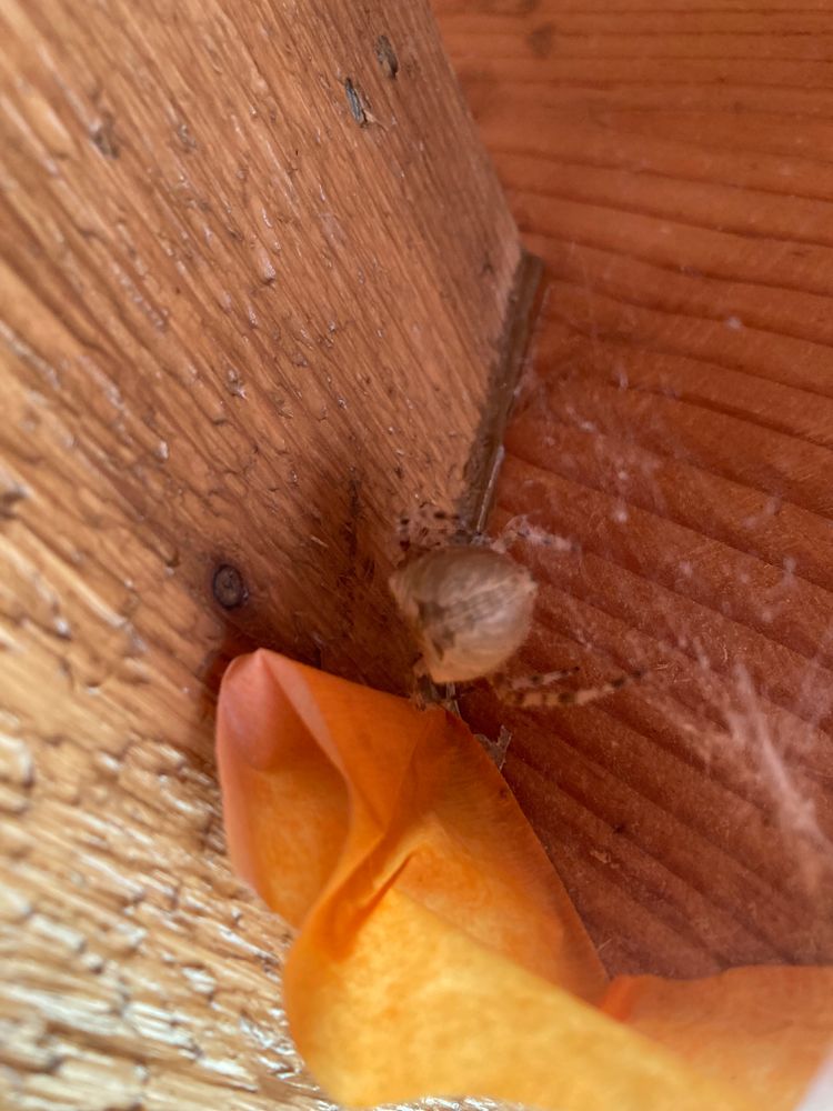 All Photos for Kenneth Fuller in Cleveland, MN