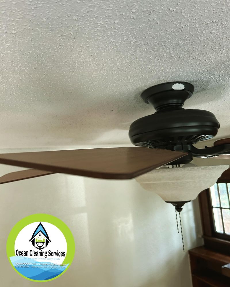 Other Services for Ocean Cleaning Services in Des Moines, IA