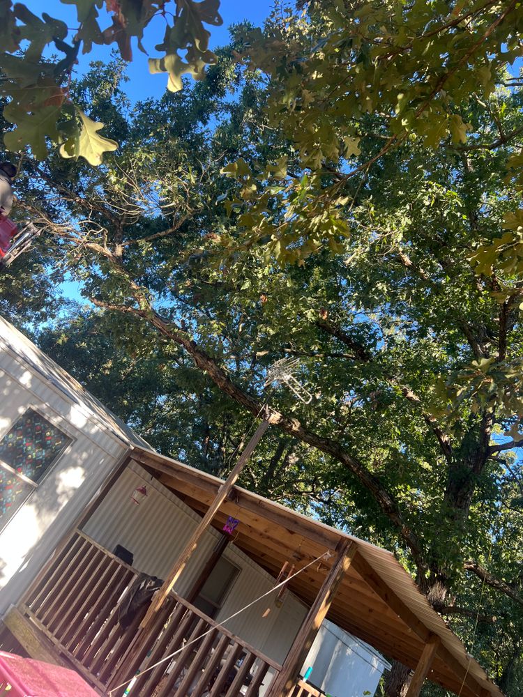 All Photos for Best Price Tree Service in Hallsville, TX