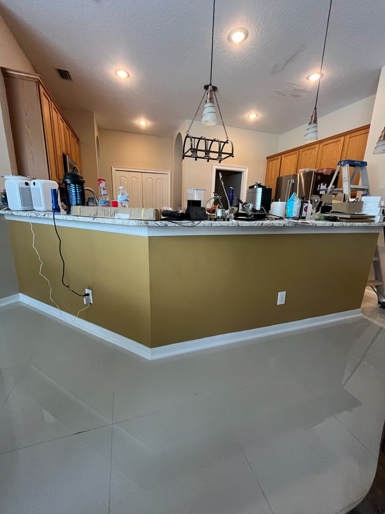 All Photos for Escorpio Painting in Tampa, FL