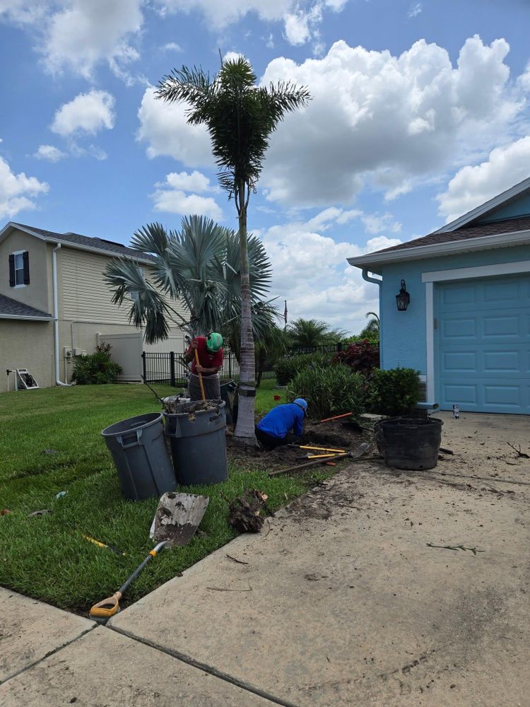 All Photos for TREE BOYS in Ruskin, FL