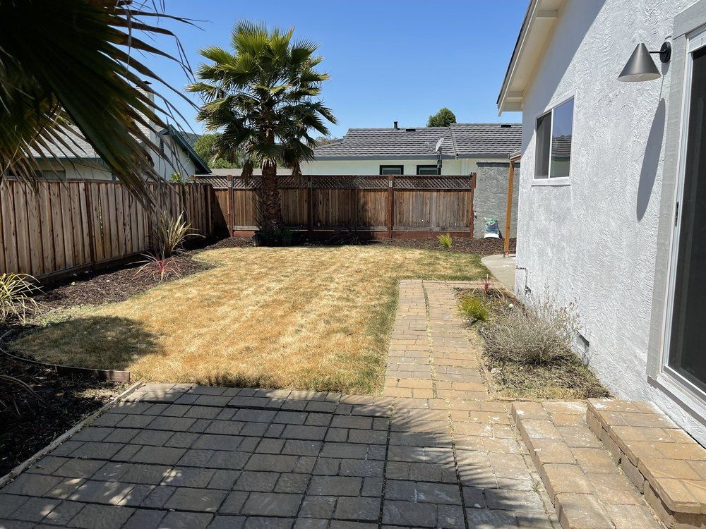 Lawn Care for CBA Landscaping in Hayward, CA