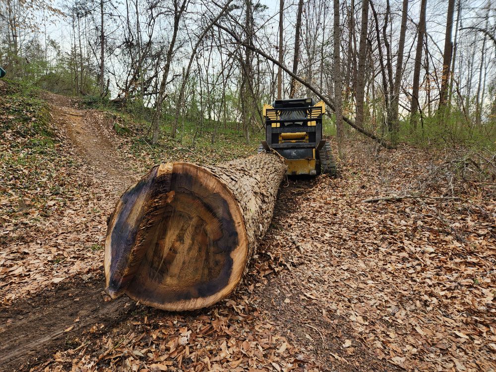 All Photos for Smith Tree Experts in Palmyra, VA