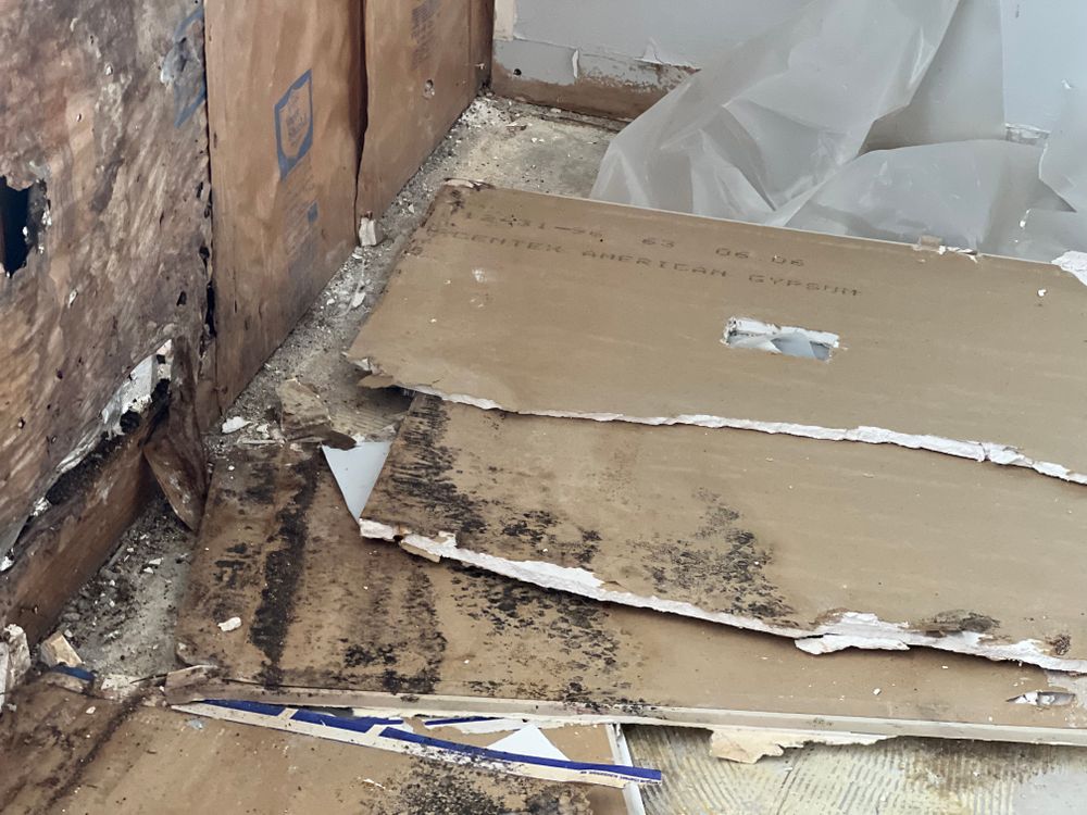 All Photos for N&D Restoration Services: When Disaster Strikes, We Come In in Cape Coral,  FL