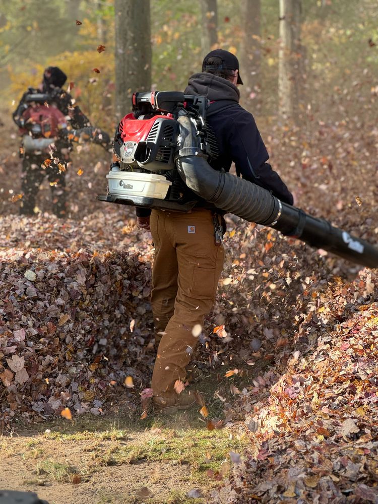 Fall Clean up & Leaf Removals for Ace Landscaping in Trumbull, CT