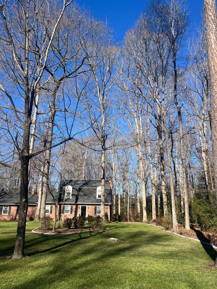 All Photos for Atlas Home Services in Mechanicsville, VA