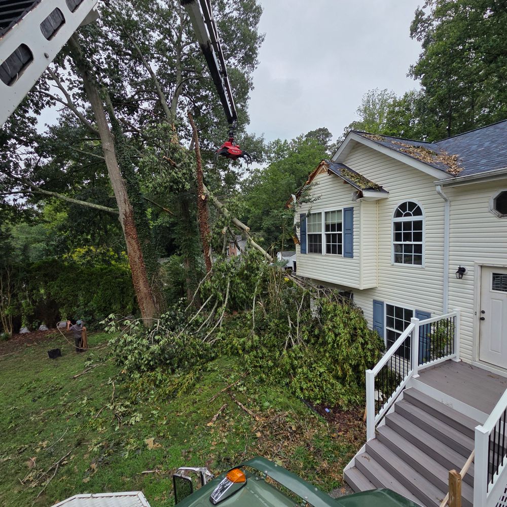 Our Emergency Storm Cleanup service is available 24/7 to assist homeowners with fallen trees, branches or debris after a storm. Trust our experienced team to quickly restore your property's safety and beauty. for Darbie's Tree Service in Newburg,  MD