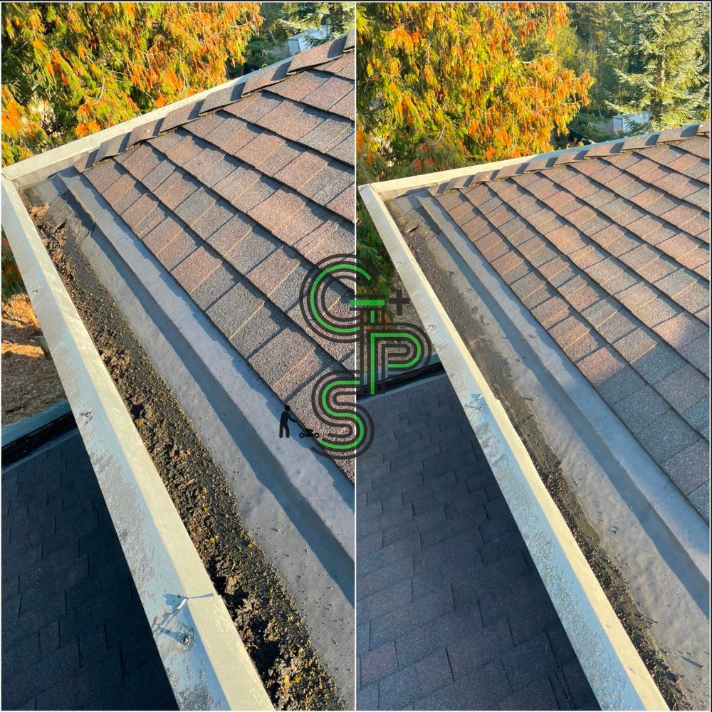 Roof and Gutter Cleaning for Golovin Property Services LLC in Marysville, WA