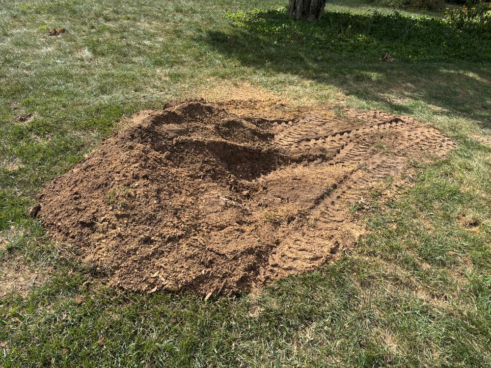 All Photos for Conrad's Stump Removal in Columbus, IN