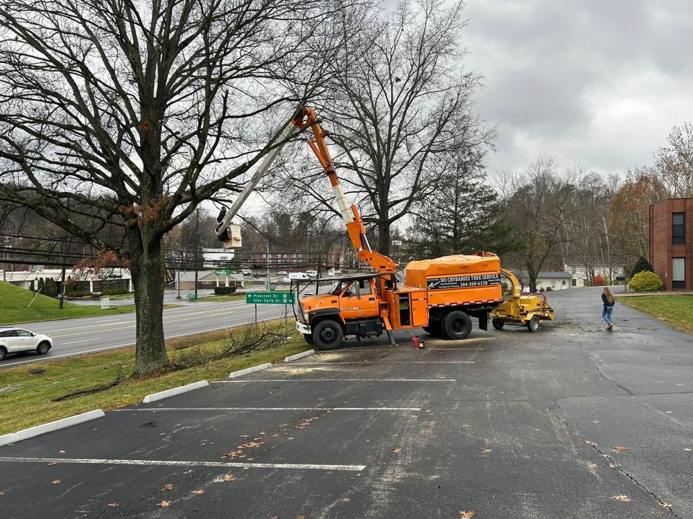 Tree Services for KJ’s Tree Service & More LLC in Fraziers Bottom, WV