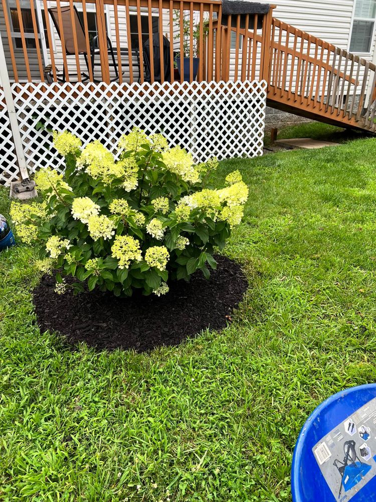 All Photos for TJ’s Landscaping in Knoxville, TN