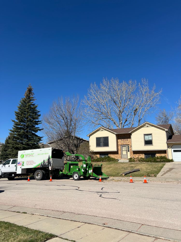 All Photos for Clean Cut Tree Service in Gillette, WY