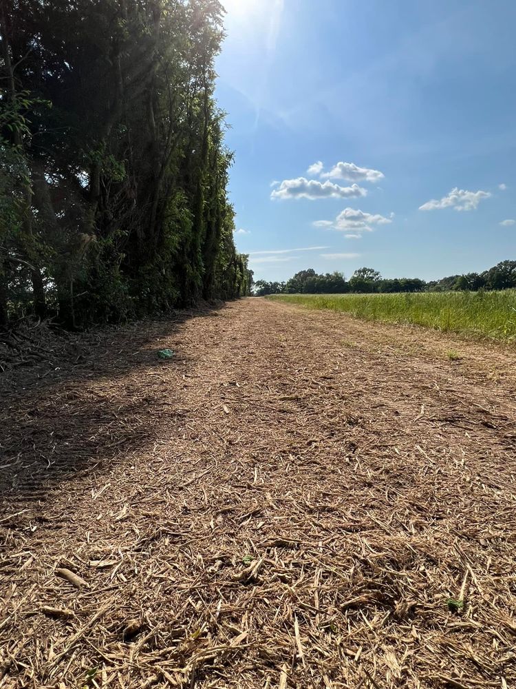 Our mulching service efficiently clears land by grinding up vegetation and undergrowth, providing a cost-effective solution to promote soil health, reduce erosion, and enhance the overall appearance of your property. for Mud Creek Vegetation Management in Russellville, AL