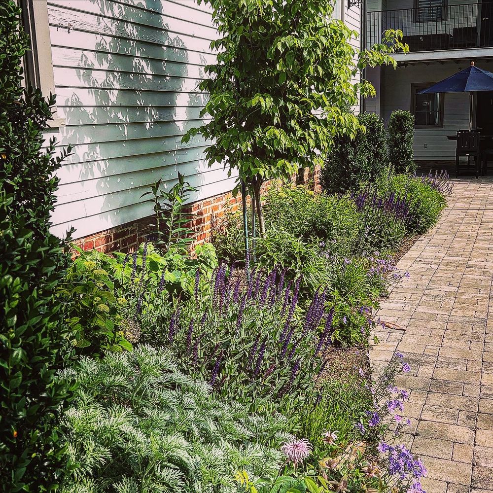 All Photos for Christina King Landscape Design in West Raleigh, NC