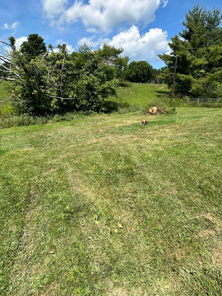 All Photos for NRV Tree Pro, LLC in Narrows, VA