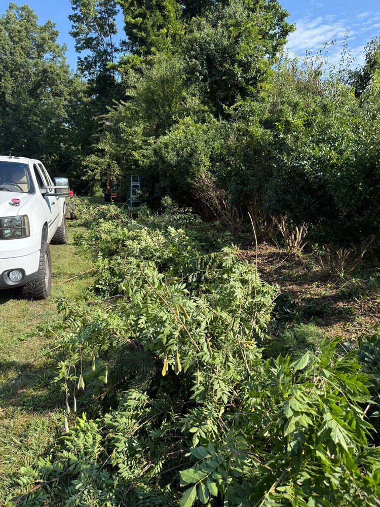 All Photos for Quartz Creek in Claremont, NC