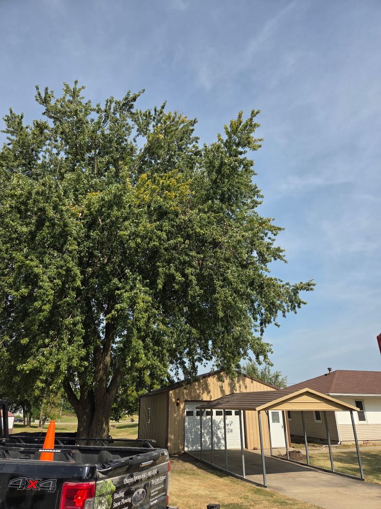 All Photos for Lawn Ranger Yard And Tree Service LLC in Ottumwa, IA