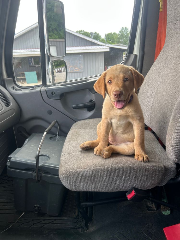 All Photos for The Gravel Guy in Blairsville, GA