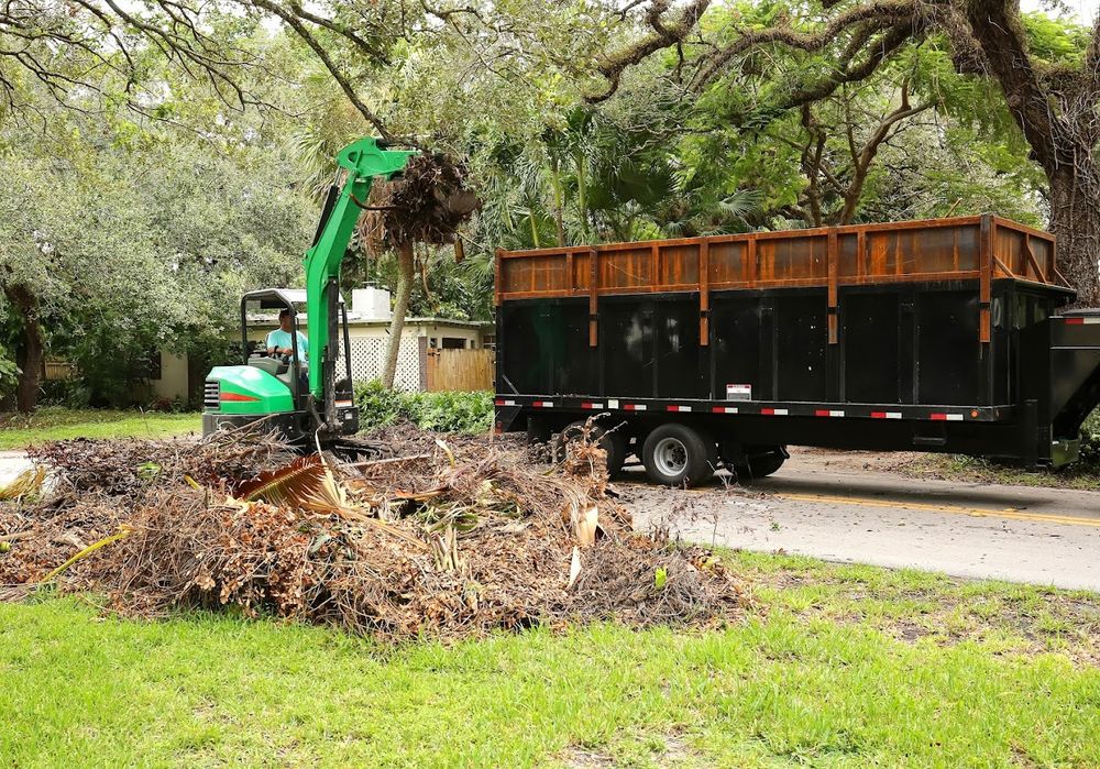 Tree Services for Busy Beaver Stump Removal, Inc in Clearwater, FL