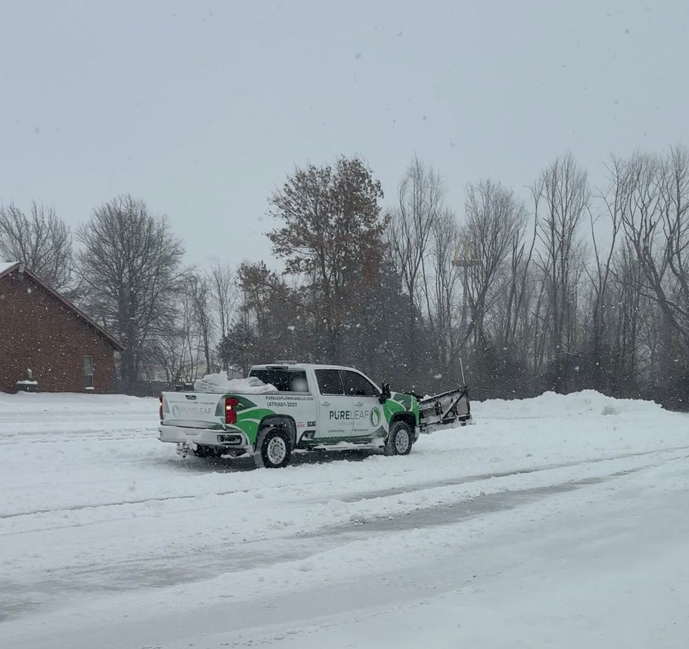 All Photos for Pureleaf Lawncare LLC in Springdale, AR