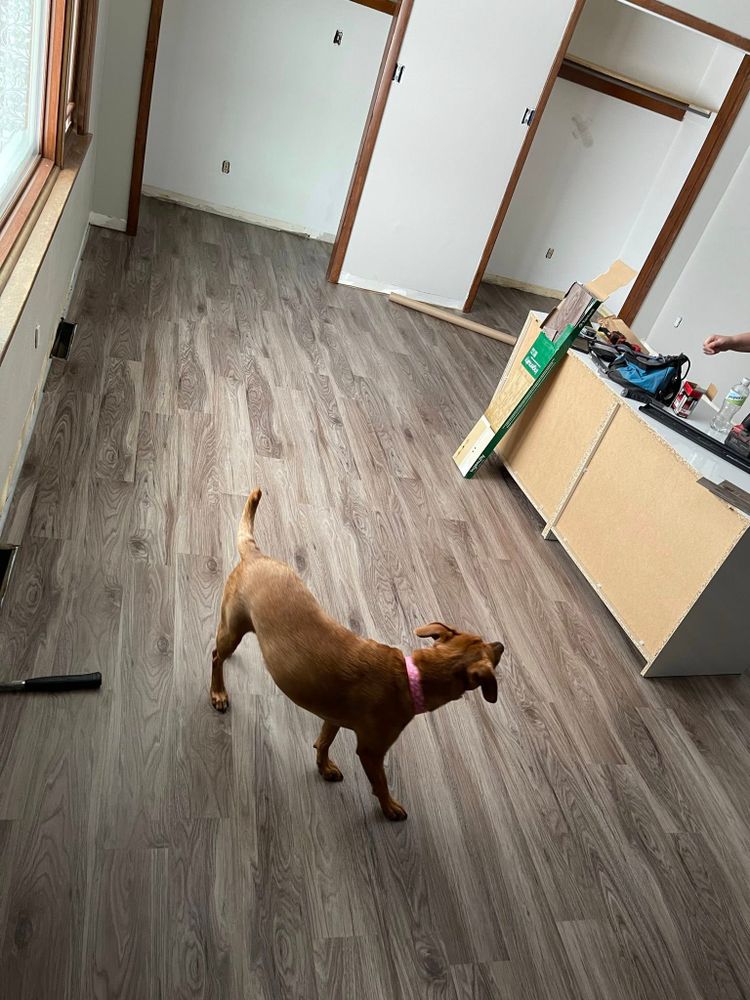 Our vinyl and laminate flooring services deliver durable, stylish floors with expert installation, precise repairs, and dependable handyman care—helping homeowners upgrade comfort, appearance, and value in every room. for Green Mountain Home Services in Wasilla, AK
