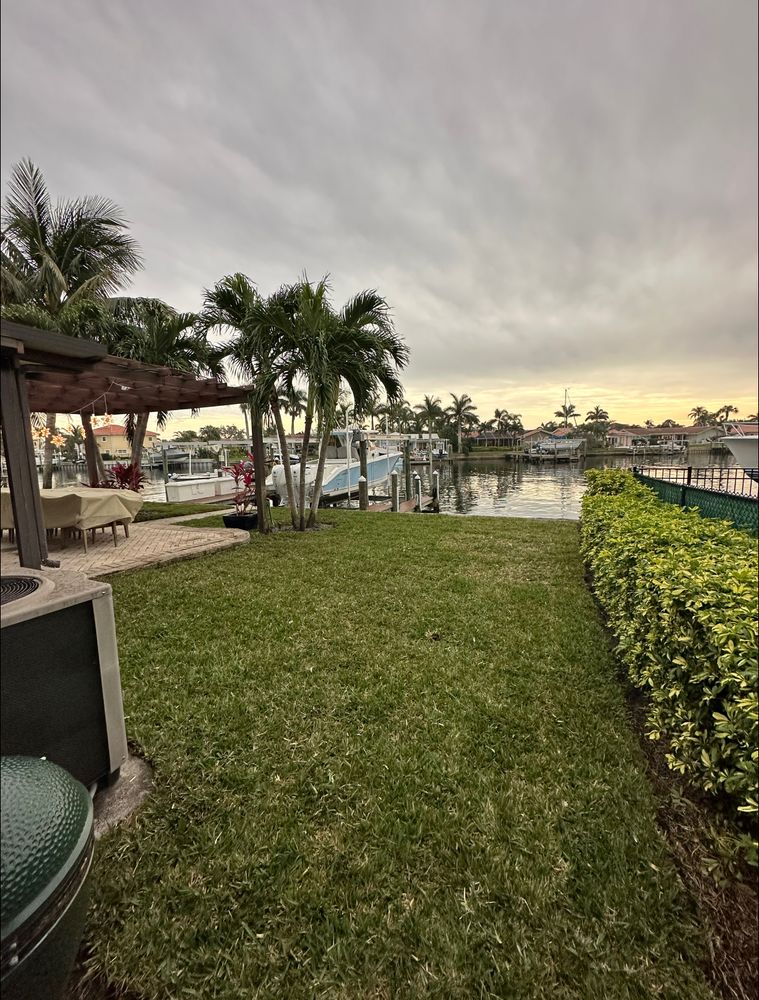 All Photos for Oceanfront Landscape in St. Petersburg, FL