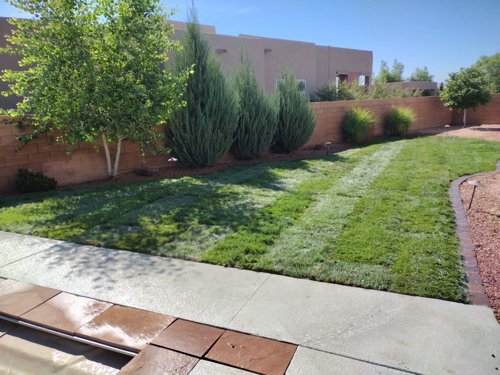 Lawn Care for 2 Brothers Landscaping in Albuquerque, NM