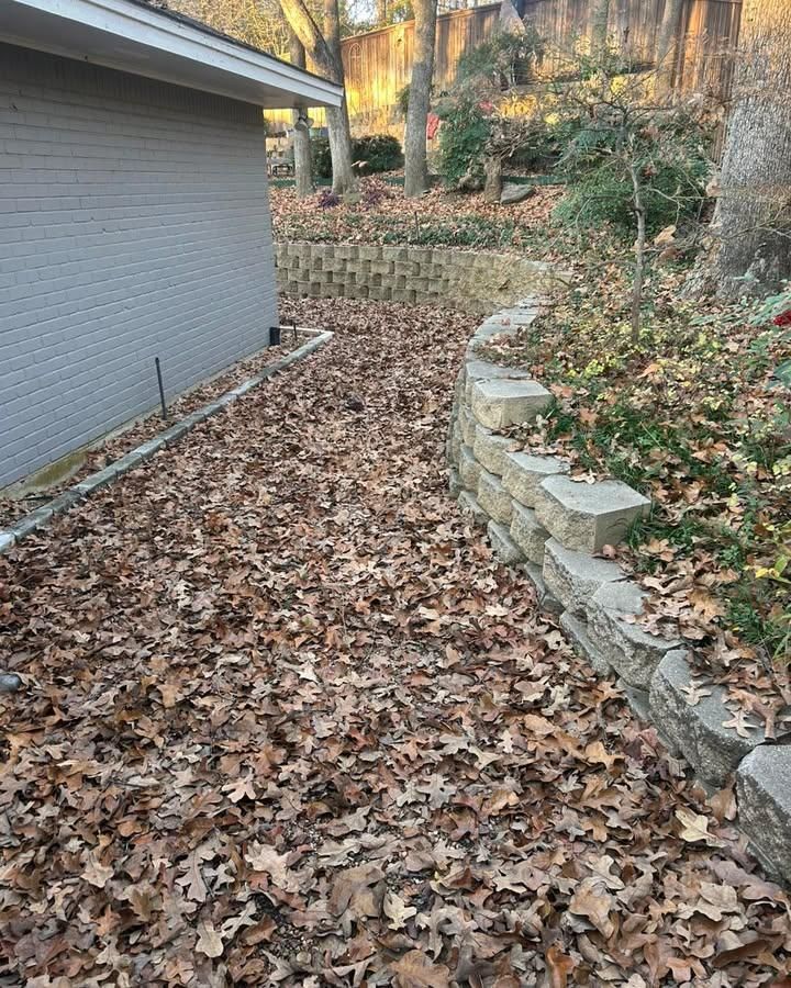 All Photos for Muniz Tree Service in North Richland Hills, TX