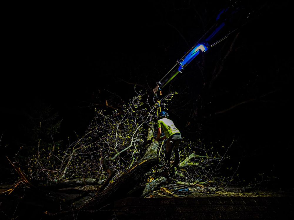 All Photos for Down To Earth Tree Service in Red Wing,  Minnesota