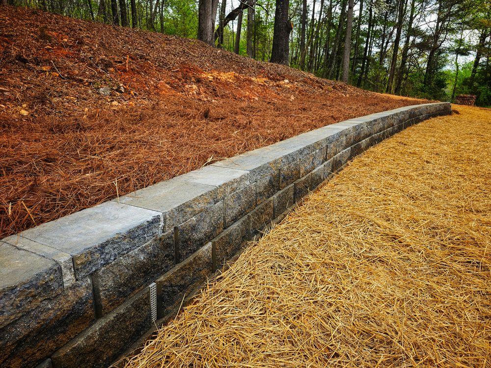 All Photos for Southern Turf & Landscape in Concord, NC