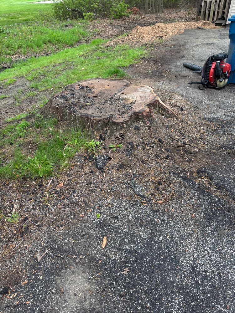 All Photos for Dean's Stump Removal in Youngstown, OH