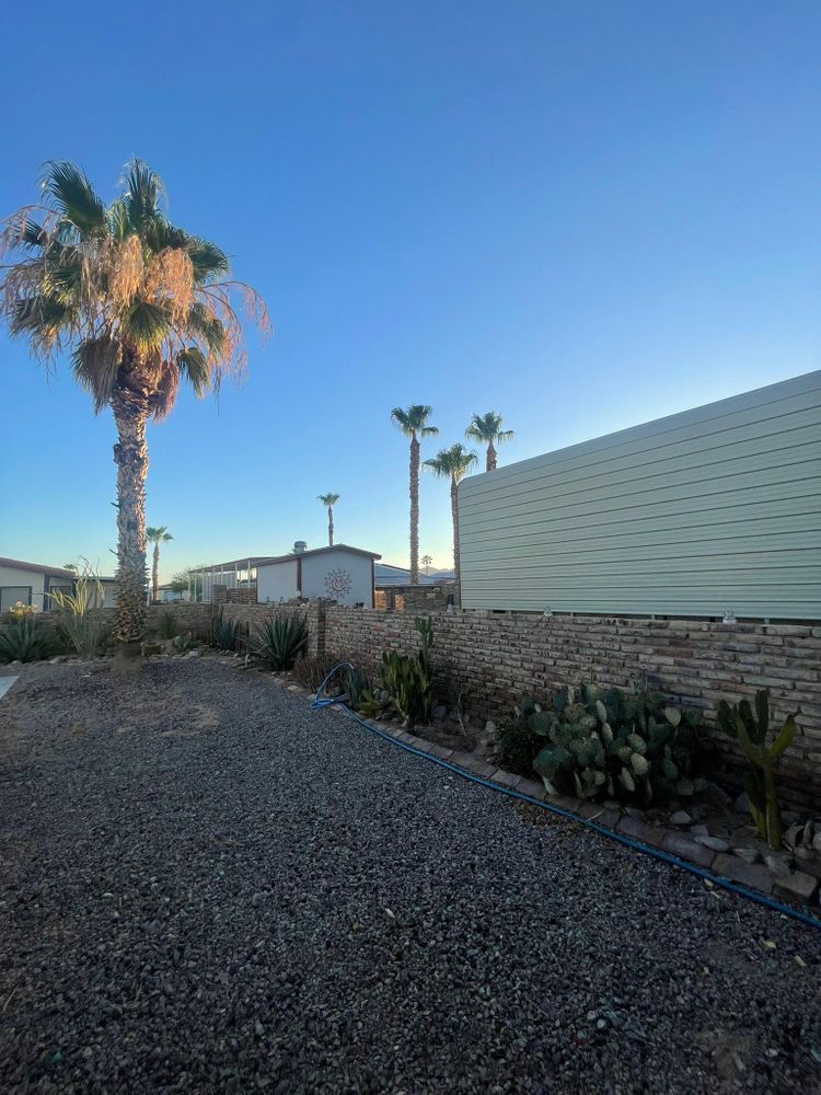 All Photos for Oliver L. Palm & Tree services in Yuma County, AZ