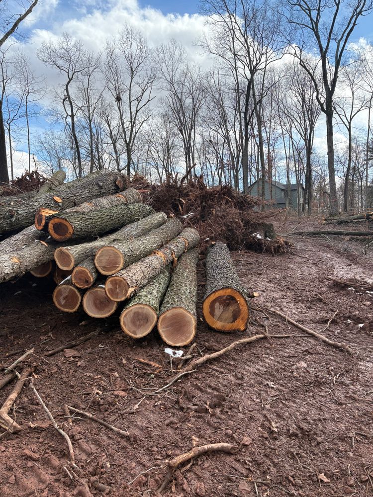 All Photos for Penn Top Property Services in Lake Meade, PA