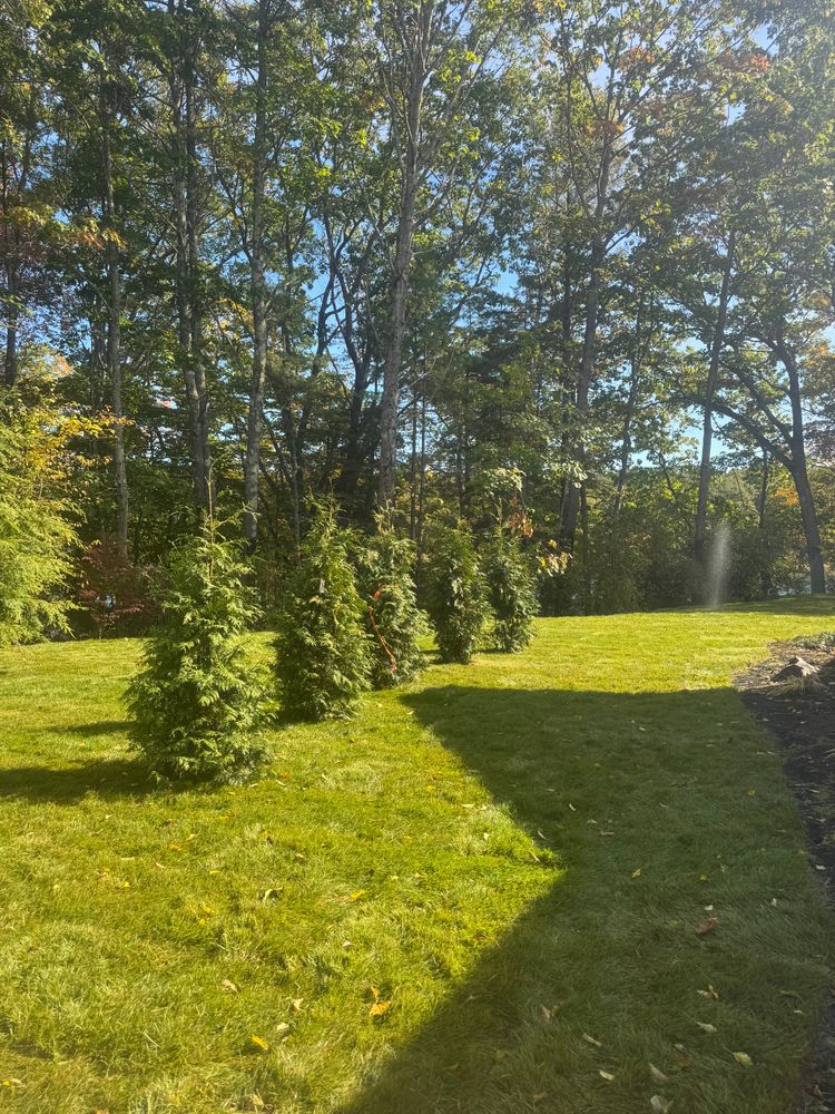 All Photos for Soil Builders LLC in West Durham, ME