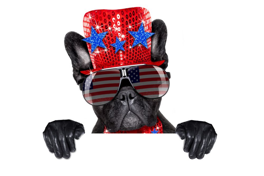 All Photos for River City Scoopers in Midlothian, VA