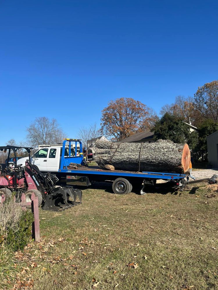 All Photos for Curtis Tree Service LLC in Hopkins County, KY
